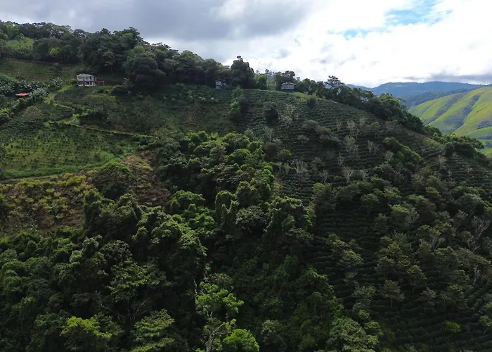 Monteverde Beaumont * La Cruz (Abangares)